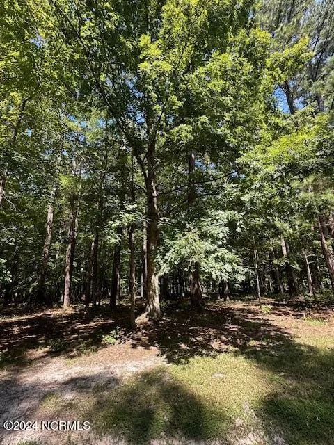 109 Chatooga Court E Hertford, NC 27944