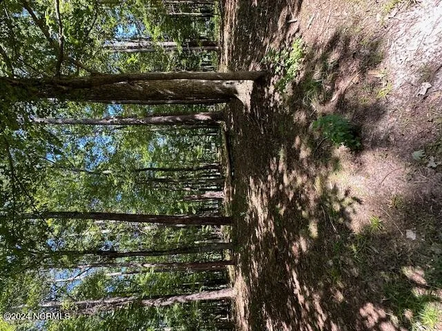 109 Chatooga Court E Hertford, NC 27944