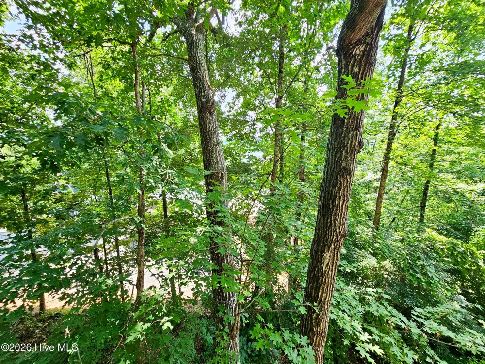128 Manor Drive #A & B Hayesville, NC 28904