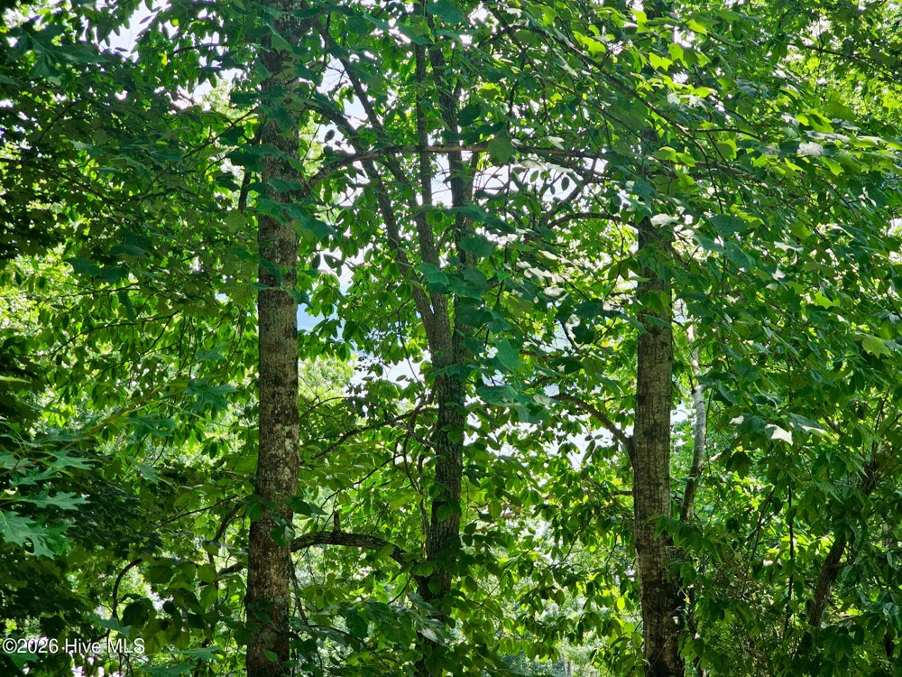 128 Manor Drive #A & B Hayesville, NC 28904