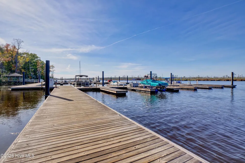 237 Sabal Pond Way Castle Hayne, NC 28429