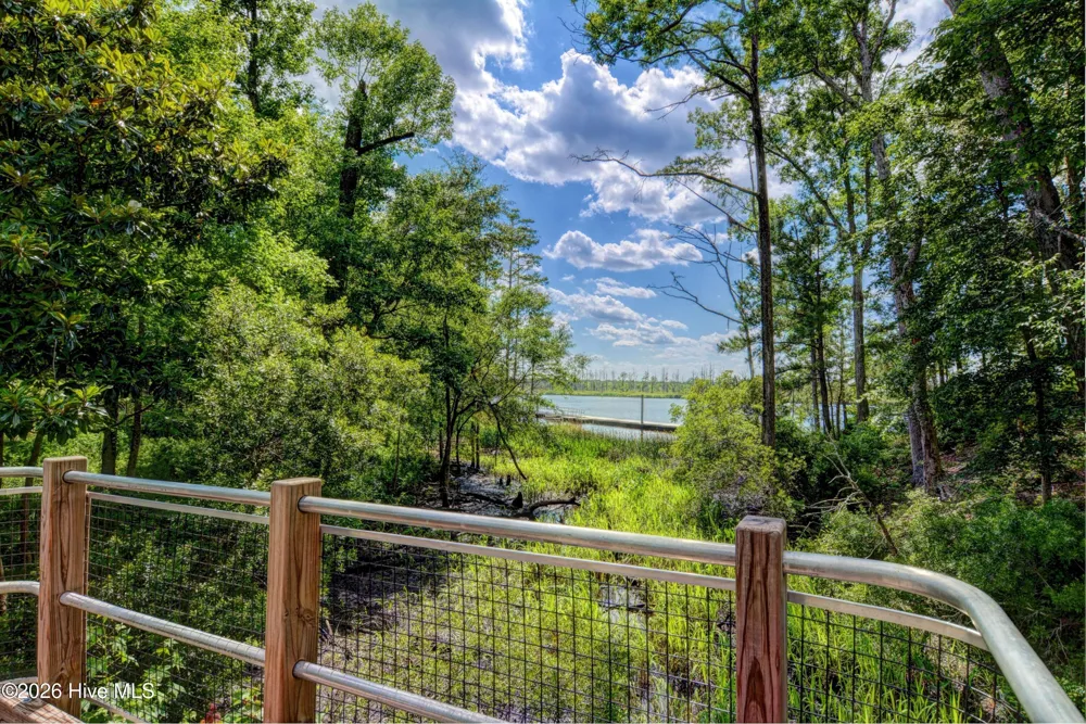 237 Sabal Pond Way Castle Hayne, NC 28429