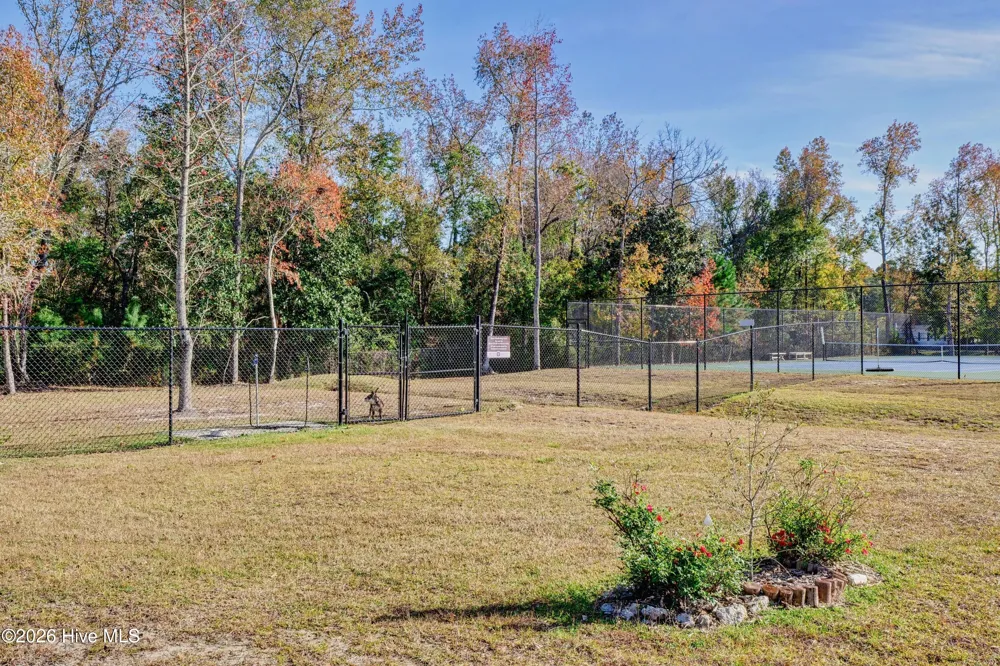 237 Sabal Pond Way Castle Hayne, NC 28429