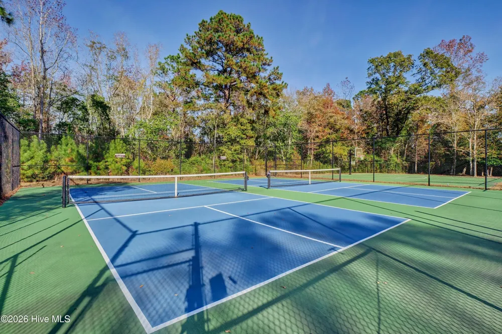 237 Sabal Pond Way Castle Hayne, NC 28429