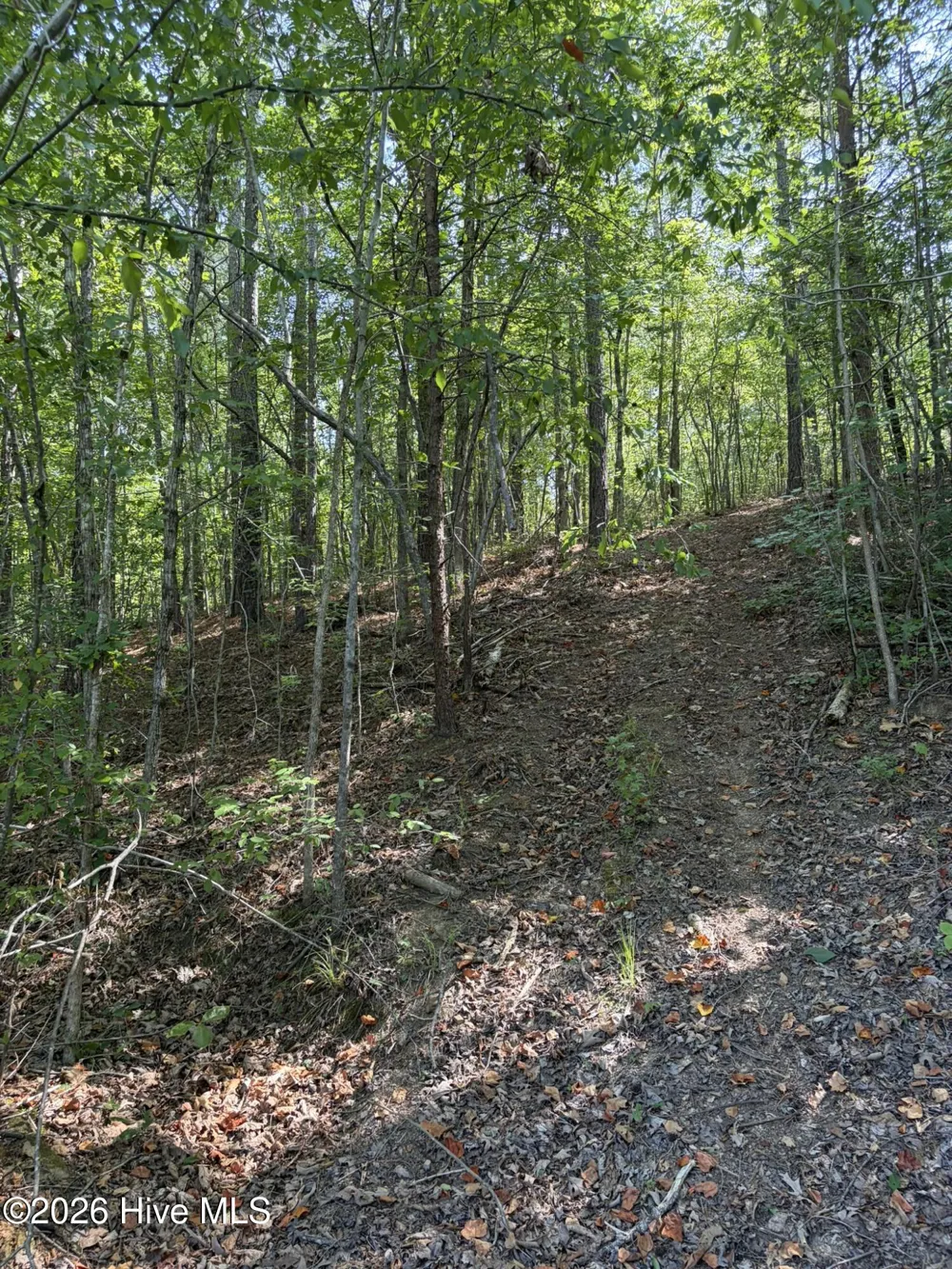 Tbd Green Road Ellerbe, NC 28338