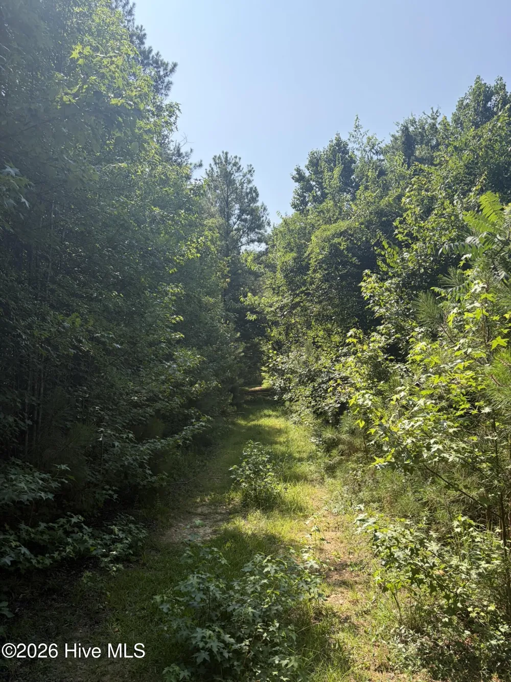 Tbd Green Road Ellerbe, NC 28338