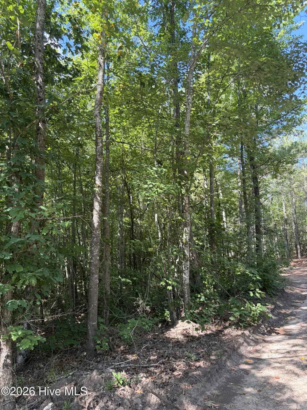 Tbd Green Road Ellerbe, NC 28338