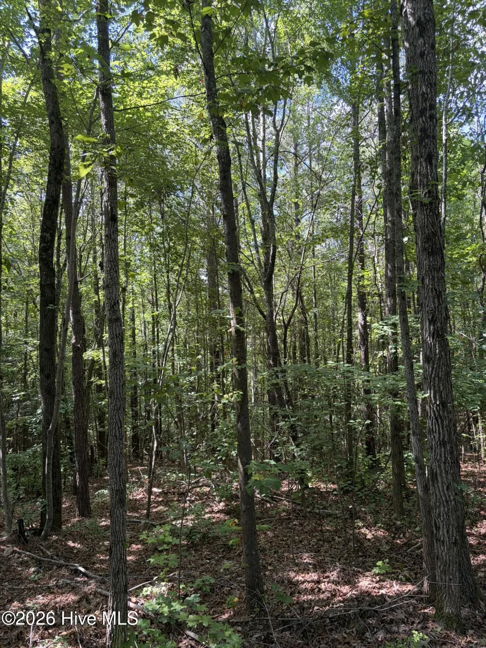 Tbd Green Road Ellerbe, NC 28338