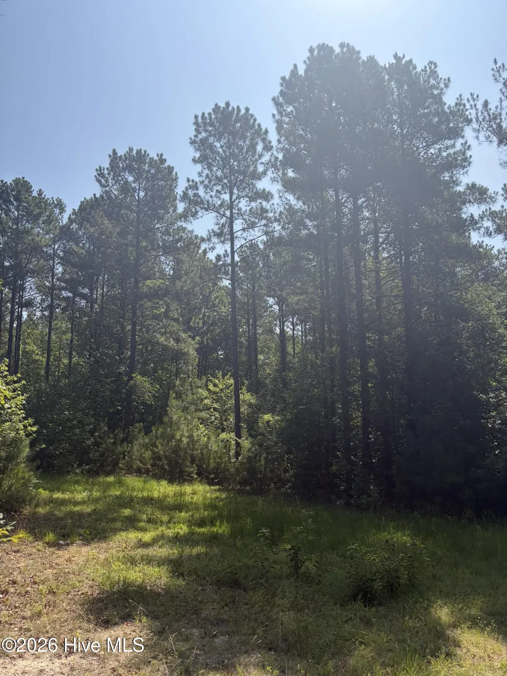 Tbd Green Road Ellerbe, NC 28338