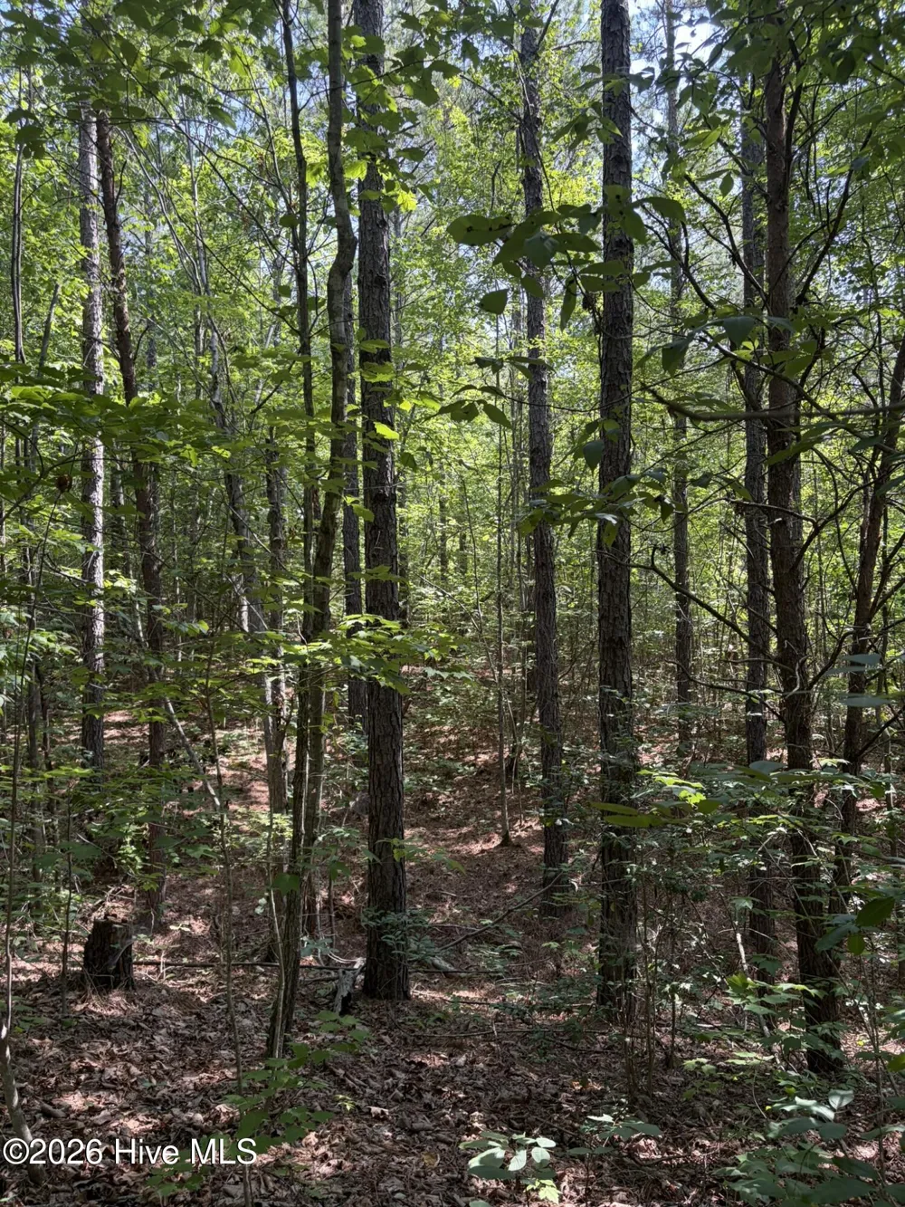 Tbd Green Road Ellerbe, NC 28338