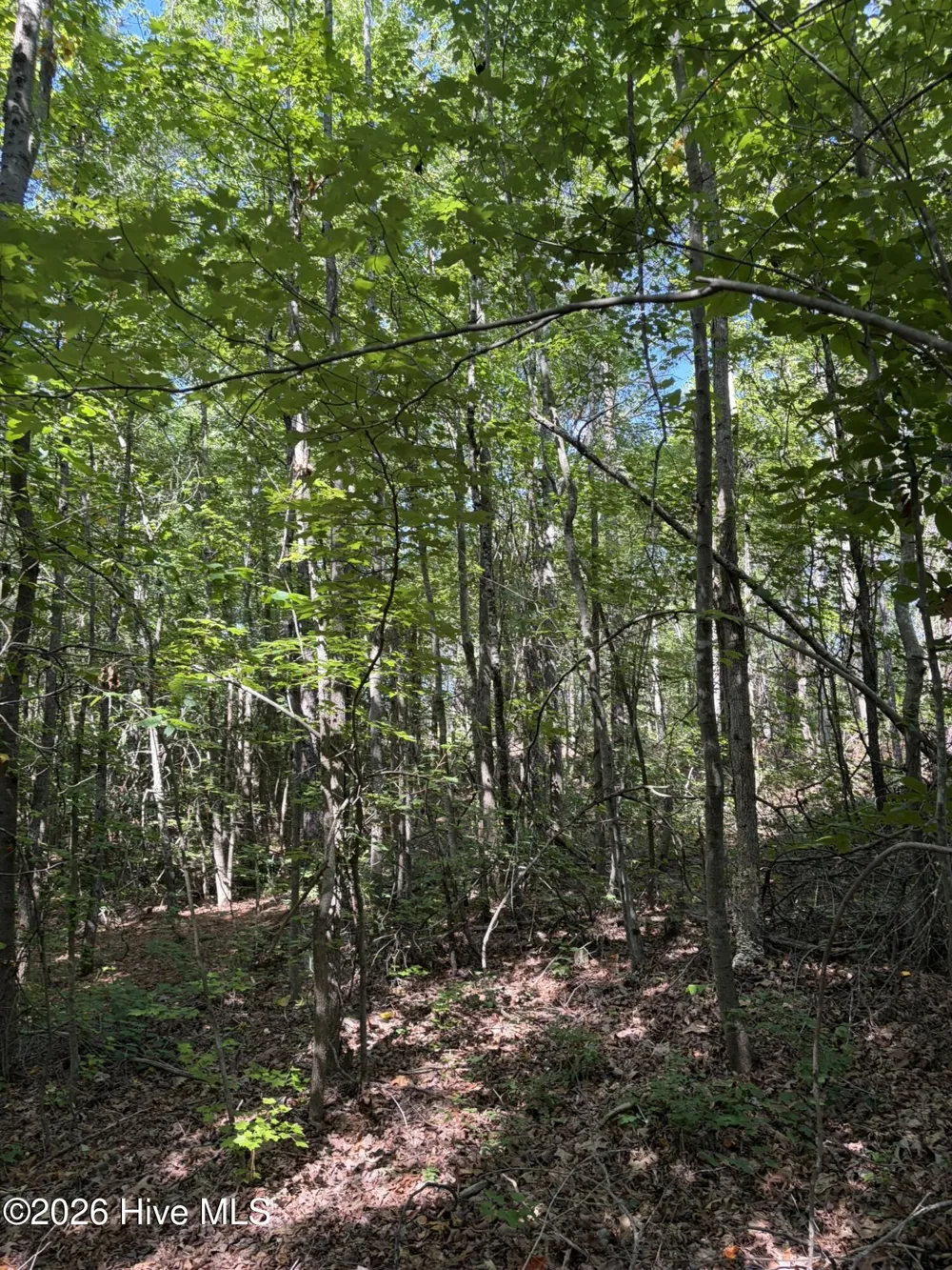 Tbd Green Road Ellerbe, NC 28338