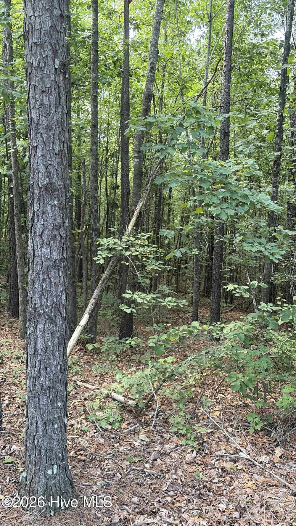 Tbd Green Road Ellerbe, NC 28338
