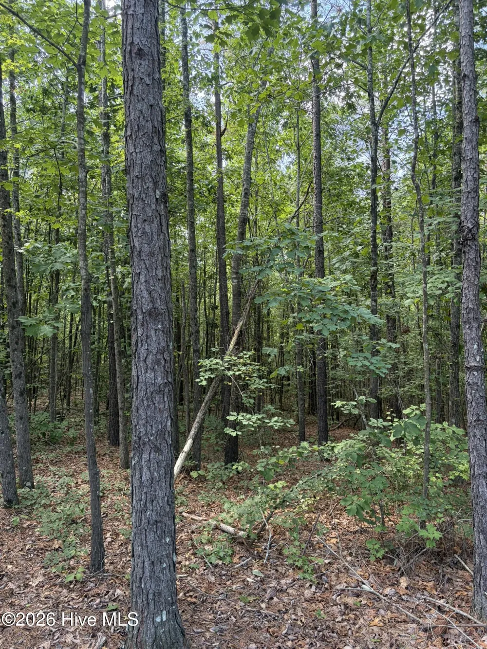 Tbd Green Road Ellerbe, NC 28338