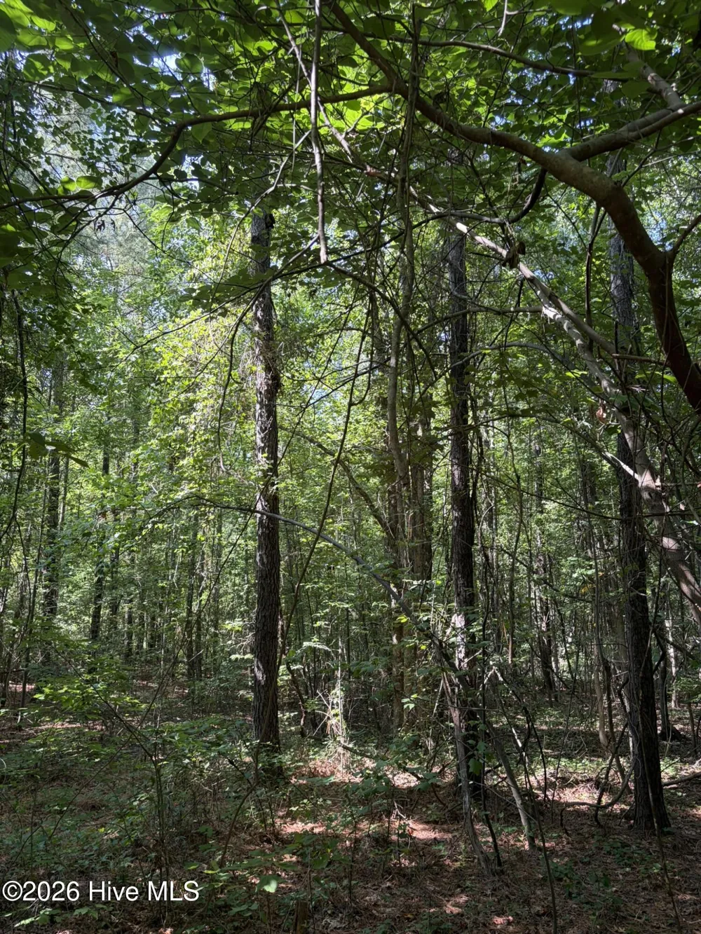 Tbd Green Road Ellerbe, NC 28338