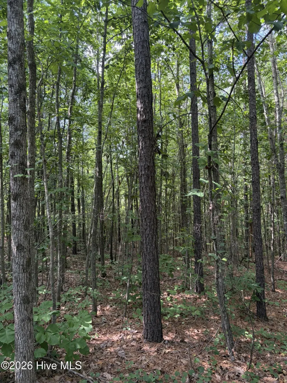 Tbd Green Road Ellerbe, NC 28338