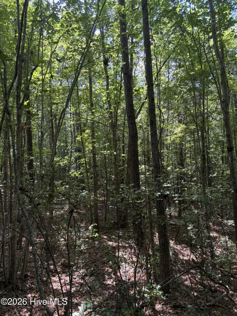 Tbd Green Road Ellerbe, NC 28338