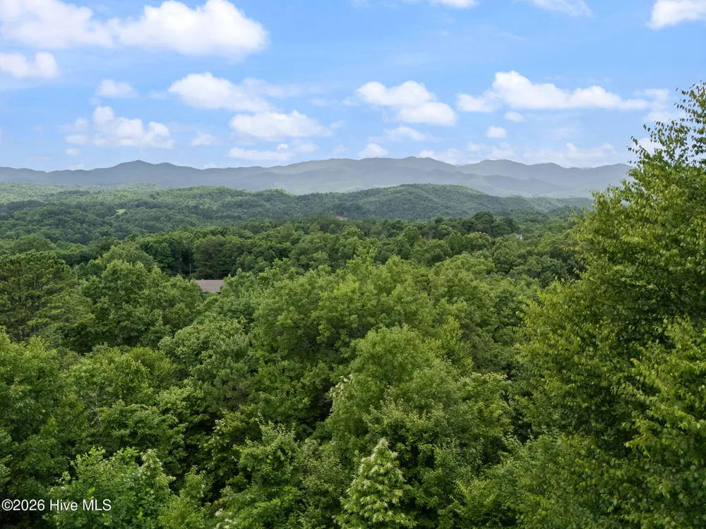 181 Rice Lane Marble, NC 28905
