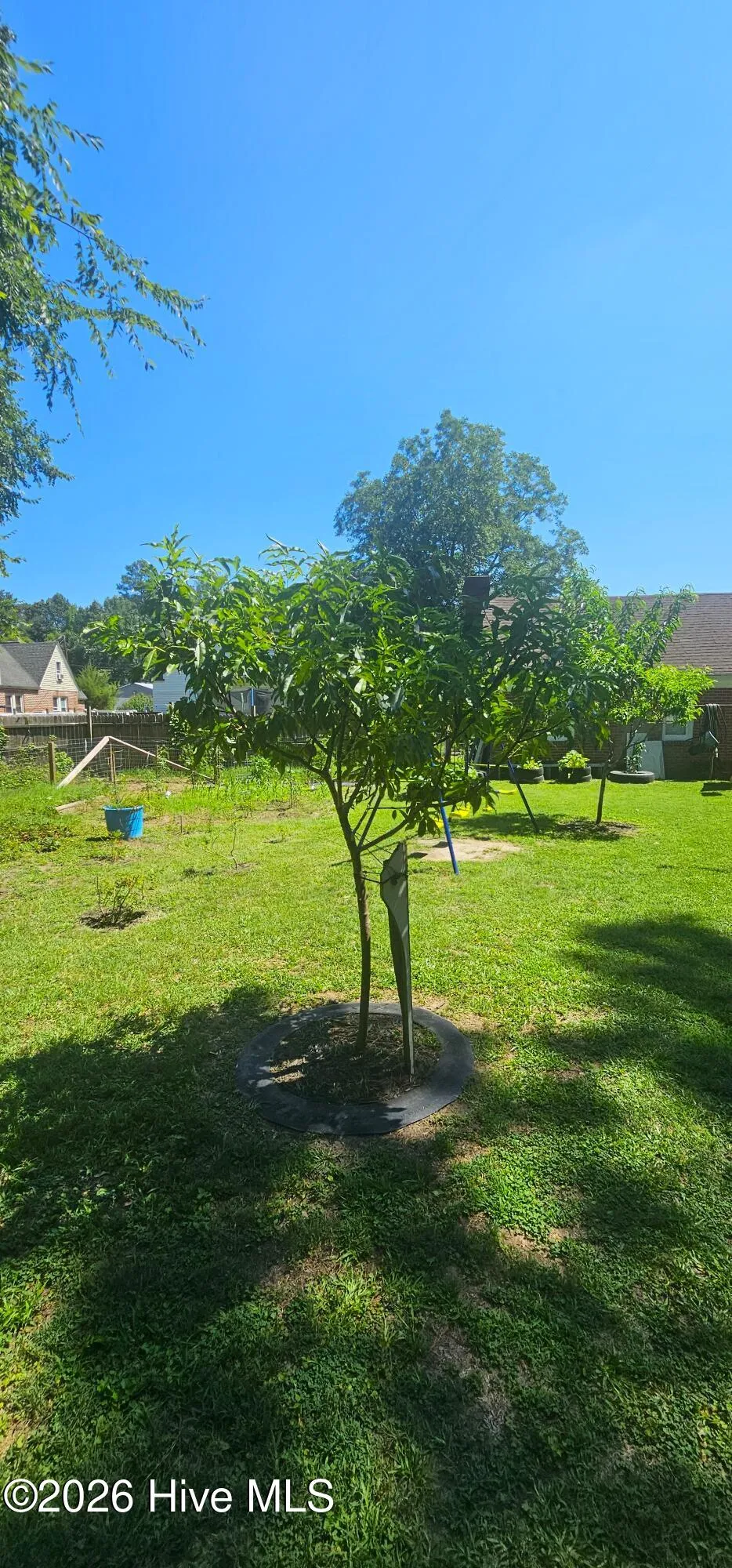 301 W Jackson Street Rich Square, NC 27869