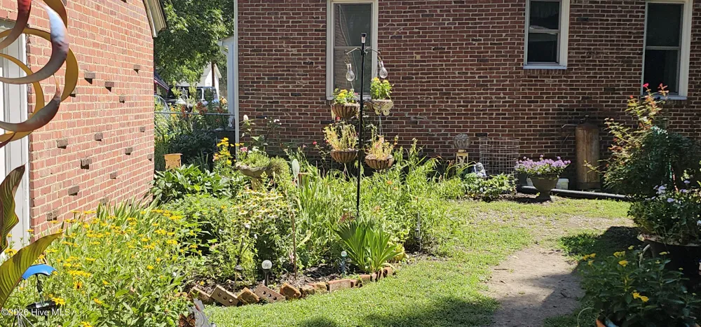 301 W Jackson Street Rich Square, NC 27869