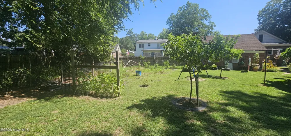 301 W Jackson Street Rich Square, NC 27869