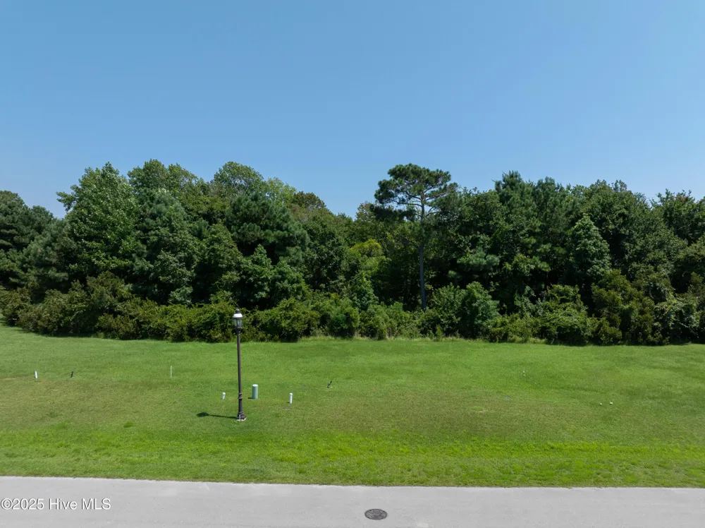 621 Tom Nevers Way Holly Ridge, NC 28445