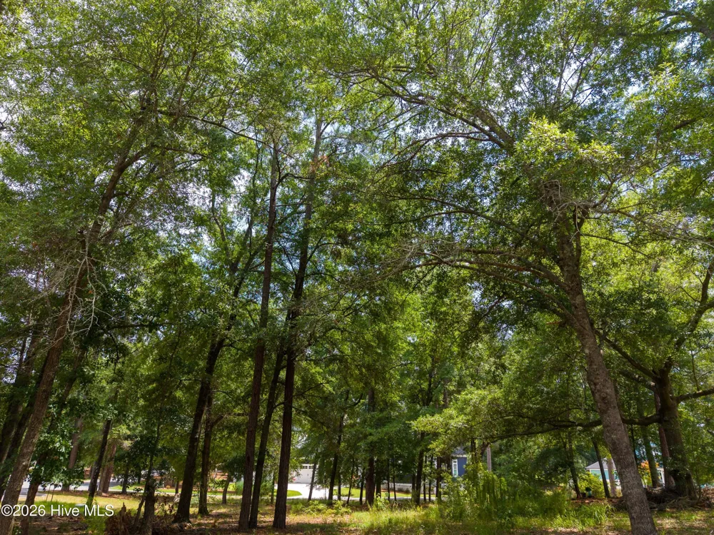 3627 White Cliffs Drive Castle Hayne, NC 28429