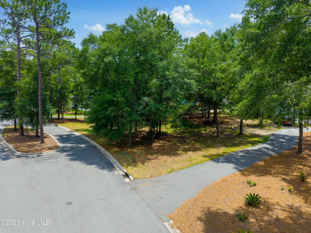 3627 White Cliffs Drive Castle Hayne, NC 28429