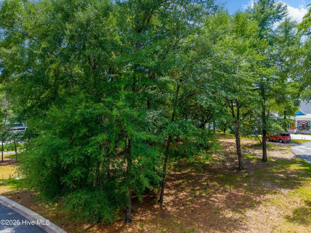 3627 White Cliffs Drive Castle Hayne, NC 28429