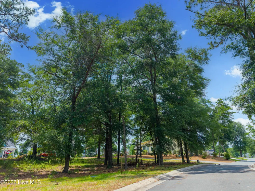 3627 White Cliffs Drive Castle Hayne, NC 28429
