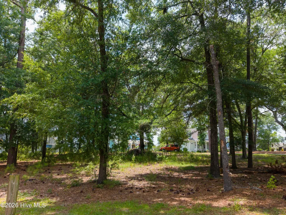 3627 White Cliffs Drive Castle Hayne, NC 28429