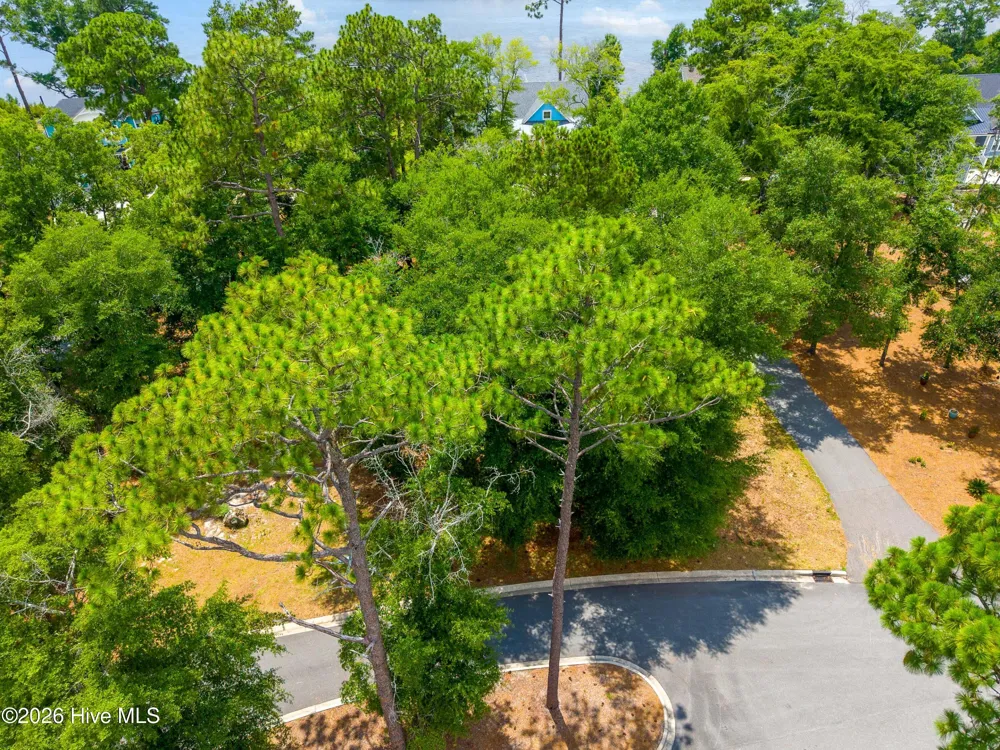 3627 White Cliffs Drive Castle Hayne, NC 28429