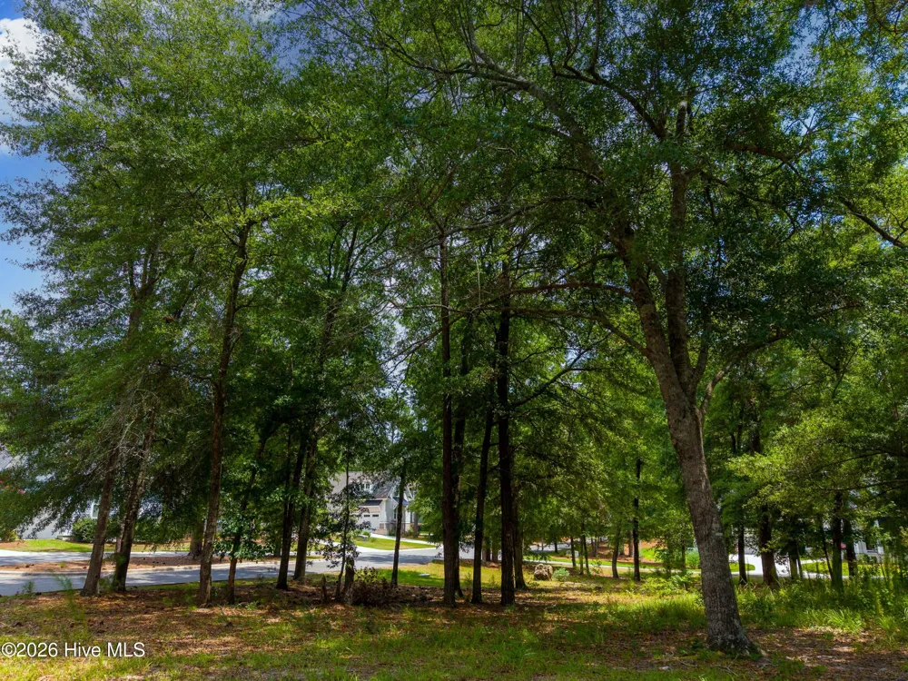 3627 White Cliffs Drive Castle Hayne, NC 28429