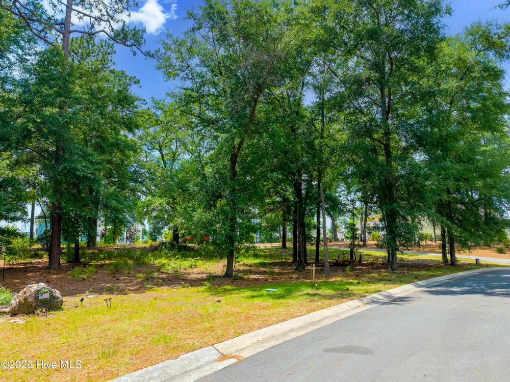 3627 White Cliffs Drive Castle Hayne, NC 28429