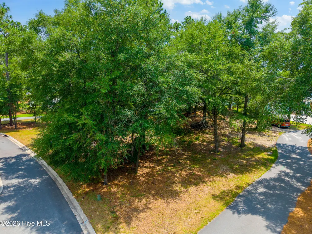 3627 White Cliffs Drive Castle Hayne, NC 28429