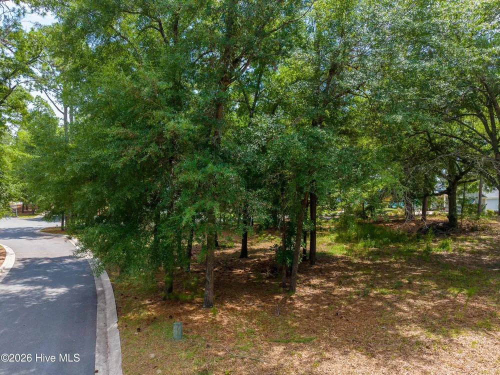 3627 White Cliffs Drive Castle Hayne, NC 28429