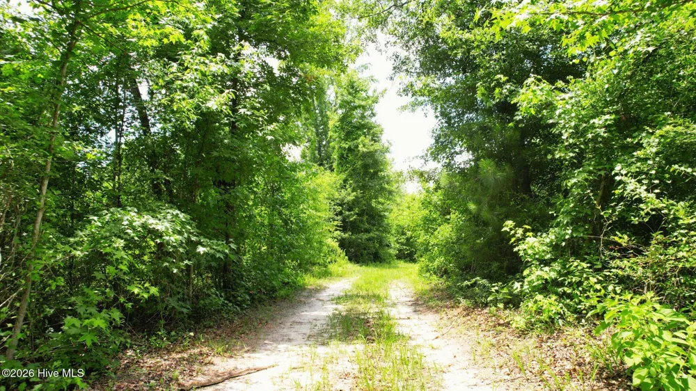 1110 Ga-88 Blythe, GA 30805