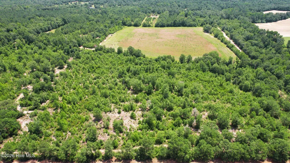 1110 Ga-88 Blythe, GA 30805