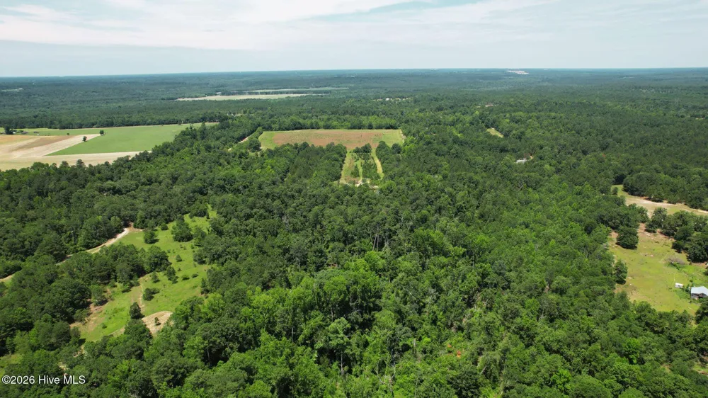 1110 Ga-88 Blythe, GA 30805
