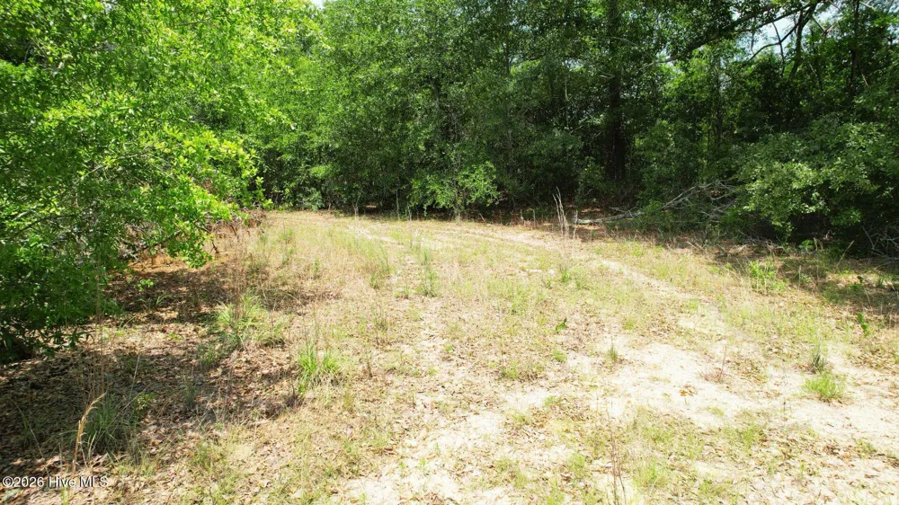 1110 Ga-88 Blythe, GA 30805