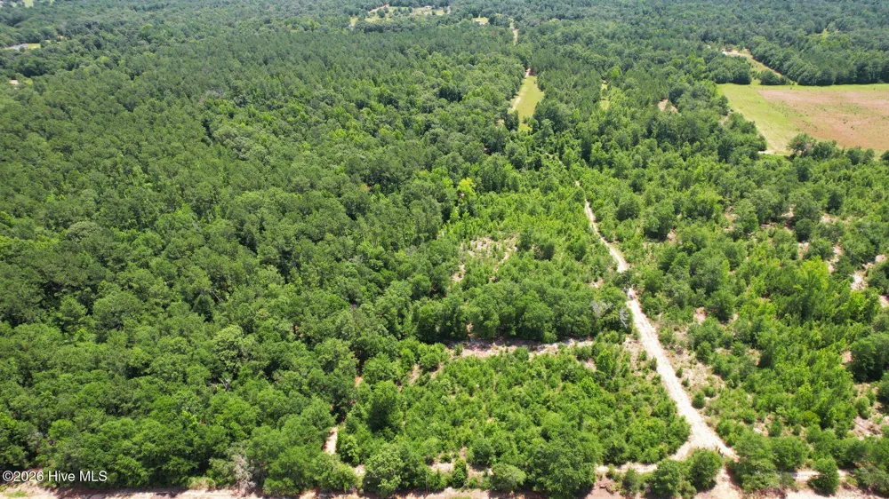 1110 Ga-88 Blythe, GA 30805