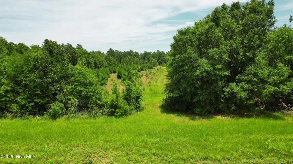 1110 Ga-88 Blythe, GA 30805