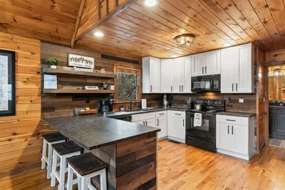 162 Little Falls Drive Mineral Bluff, GA 30559