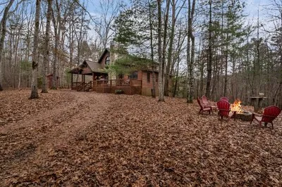 162 Little Falls Drive Mineral Bluff, GA 30559