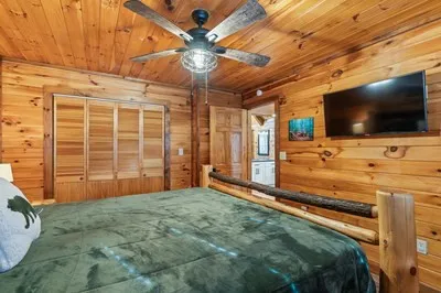 162 Little Falls Drive Mineral Bluff, GA 30559
