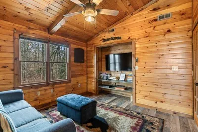 162 Little Falls Drive Mineral Bluff, GA 30559