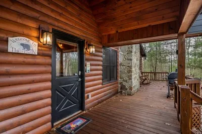162 Little Falls Drive Mineral Bluff, GA 30559