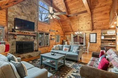 162 Little Falls Drive Mineral Bluff, GA 30559