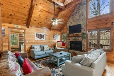162 Little Falls Drive Mineral Bluff, GA 30559