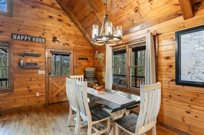 162 Little Falls Drive Mineral Bluff, GA 30559