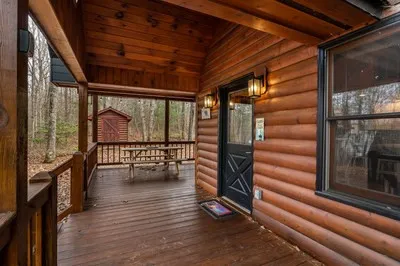 162 Little Falls Drive Mineral Bluff, GA 30559